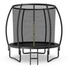 Image of Costway Trampolines 10 Feet ASTM Approved Recreational Trampoline with Ladder by Costway