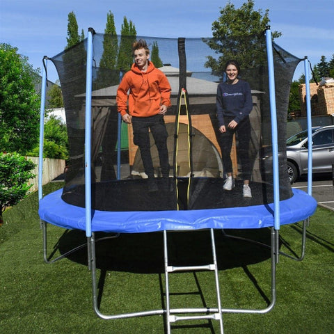 Aleko Trampolines 12 Feet Black and Blue Trampoline with Safety Net and Ladder by Aleko 781880282624 TRP12-AP