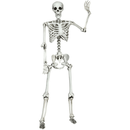 Costway Christmas Lighting & Accessories 5.4ft Halloween Skeleton Life Size Realistic Full Body Hanging by Costway 83590624 5.4ft Halloween Skeleton Life Size Realistic Full Body Hanging Costway