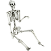 Image of Costway Christmas Lighting & Accessories 5.4ft Halloween Skeleton Life Size Realistic Full Body Hanging by Costway 83590624 5.4ft Halloween Skeleton Life Size Realistic Full Body Hanging Costway