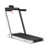 Image of costway Fitness 2.25 HP 2-in-1 Folding Treadmill with Dual Display and App Control by Costway