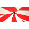 Image of Party Tents Direct Canopy Tents & Pergolas 10' x 10' Red/White 50mm Speedy Pop-up Party Tent by Party Tents 754972318600 5410