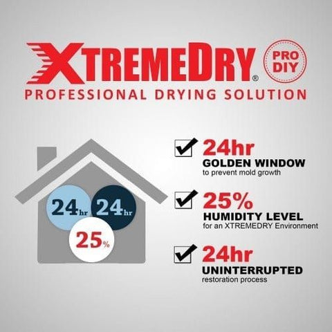 XPOWER XtremeDry® Pro-DIY Restoration TOTAL Clean-Up Tool Kit by XPOWER